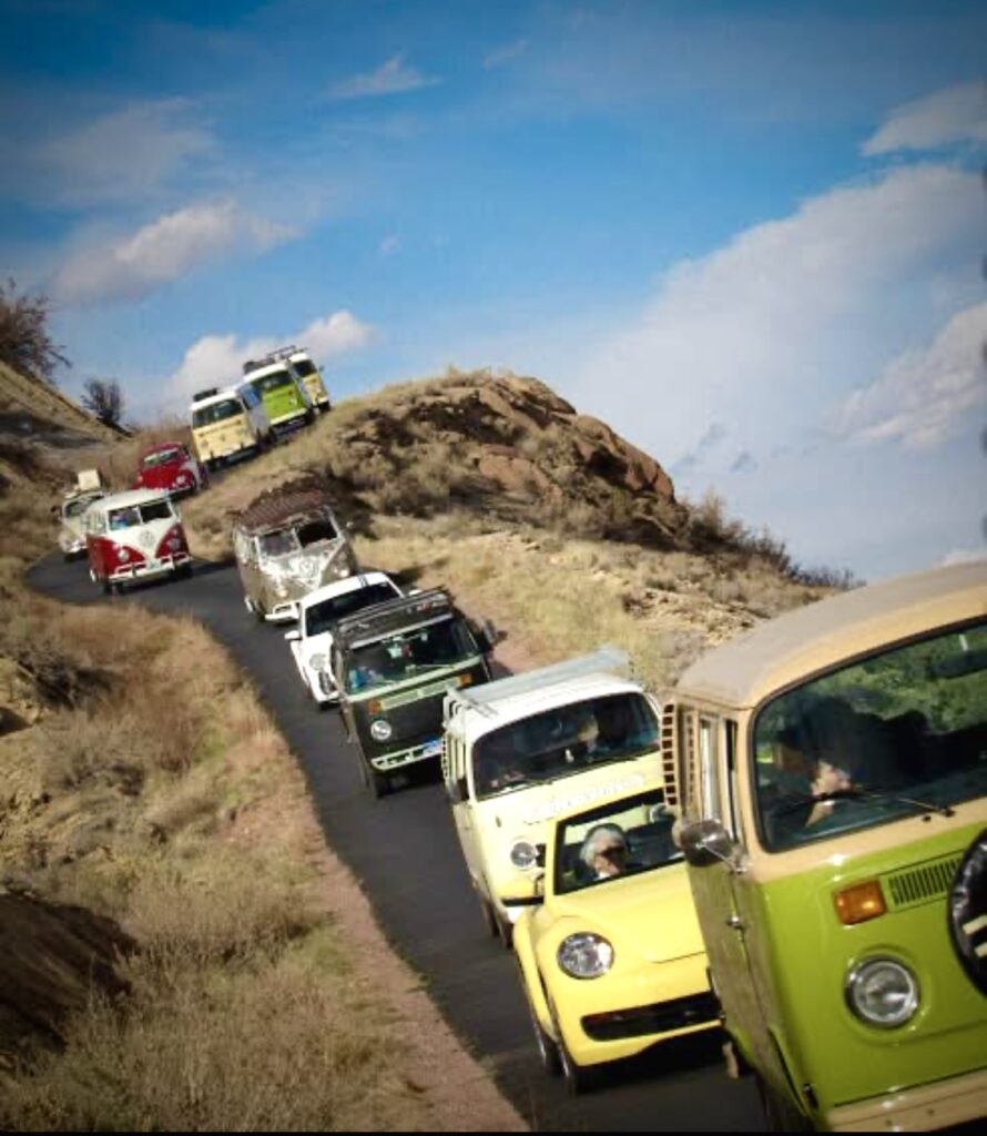 VW buses lined up at the Royal Gorge