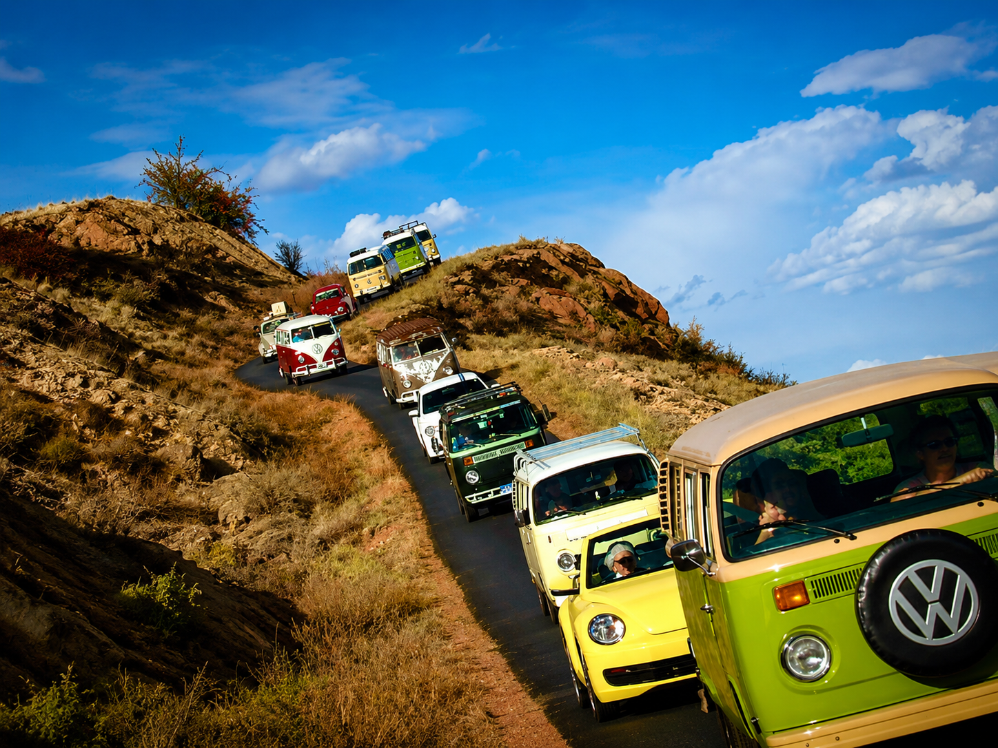 Vintage Volkswagen buses gathered at Starlite Vintage Resort near the Royal Gorge